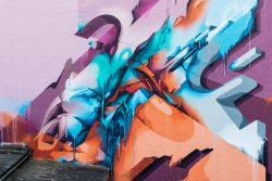2017 – DOES