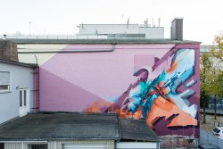 2017 – DOES