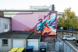 2017 – DOES