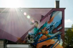 2017 – DOES