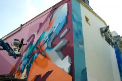 2017 – DOES