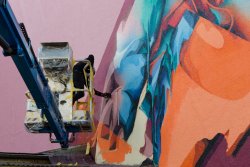 2017 – DOES